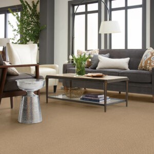 Living room Carpet flooring | Bob & Pete's Floors